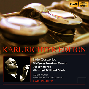 Flute Concerto No. 1 in G Major, K. 313: II. Adagio ma non troppo