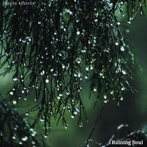 Raining Soul (feat. Alma Lin, Nina Nalo, Sensory Meditation & Flame Timo)