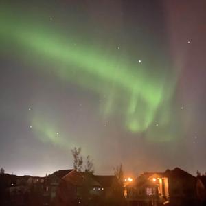 CHJ (Chromeheart Jeans)