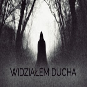 WIDZIAŁEM DUCHA