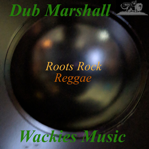 Jah Thunder- Jerry Johnson