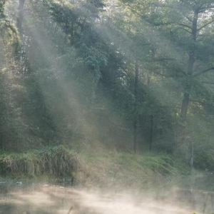 这一生关于你的风景