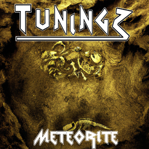 Meteorite