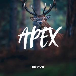 Apex