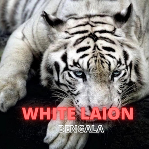 Bengala