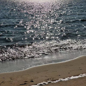 无名花香（Untold Blossom）