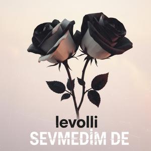 SEVMEDİM DE