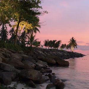 风信记事簿 修改版