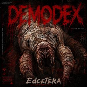 Demodex