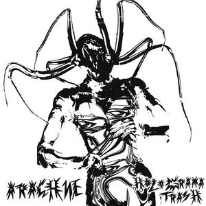 Arachne