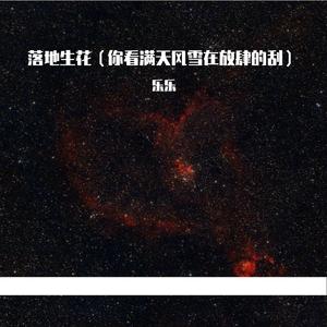 落地生花（你看满天风雪在放肆的刮）