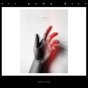 lil pump diss （Prod by Ziho ZSbeat）