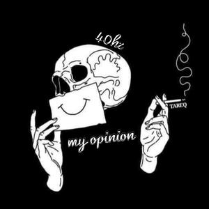 my opinion