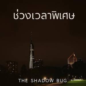 ช่วงเวลาพิเศษ