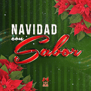 Fogonazo Navideño/Amor y Paz/Vamos Pal Campo/Niño del Tambor/La Rama/Las Posadas/La Noche Buena/Paseo en Trineo/Campanitas Navideñas/Feliz Navidad/Las Navidades Llegaron Ya/Blanca Navidad/El Viejo/Latania Navideña/Las Piñatas