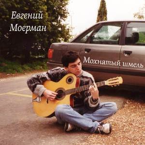 Мохнатый Шмель