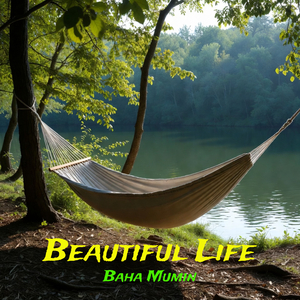 Beautiful Life