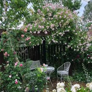 见与不见 (Cover 苏潇潇)