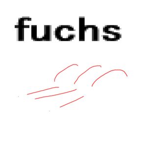 fuchs