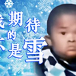 我期待的不是雪，而是求乞的明天