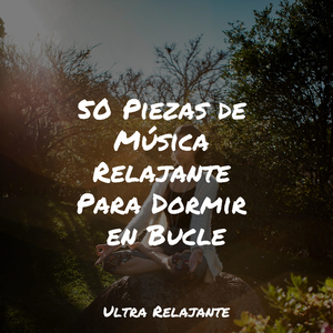 Escribiendo Al Atardecer