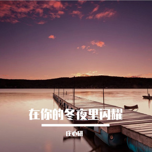 在你的冬夜里闪耀