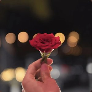 晚风心里吹（梦幻西游女儿村门派曲）