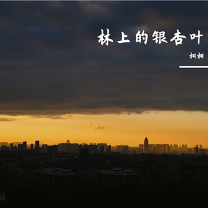 林上的银杏叶-整曲