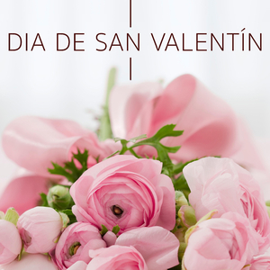 Sex Positions (Sensual Spa Music)