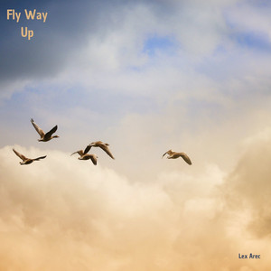 Fly Way Up