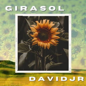 Girasol