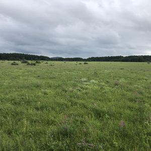 学习音乐是件很赞的事