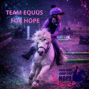 Böda Sand Jump for Hope