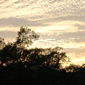 再也不见（Prod.Siren&EVO MUSIC)）