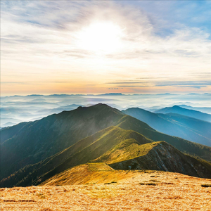 Я пришел к Тебе с повинной