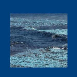 什么样的爱情（翻自 张阳阳）