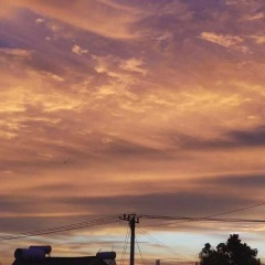 你说的那些美丽的谎话 (DJ版)