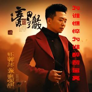 为谁憔悴为谁醉