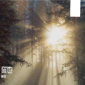 你也（翻自：张碧晨）