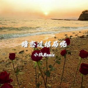 暗恋过结局呢（小玖Remix）