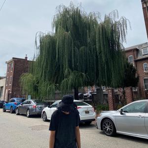 investment (feat. eturnity)