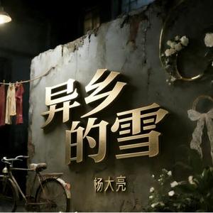 异乡的雪