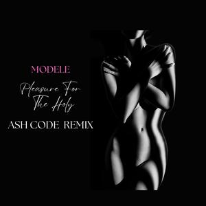 Pleasure For The Holy (Ash Code Remix)