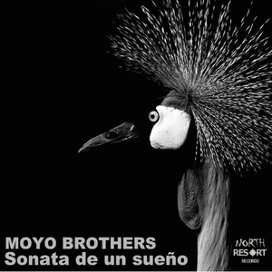 Too Much Control (Original Mix)