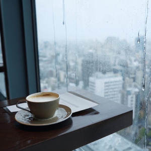 月影のゆりかご