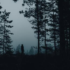 City of Stars(From ''La La Land'' Soundtrack)-苏末江南