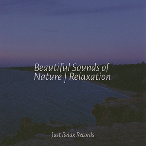 Vibrant Visions Ignite