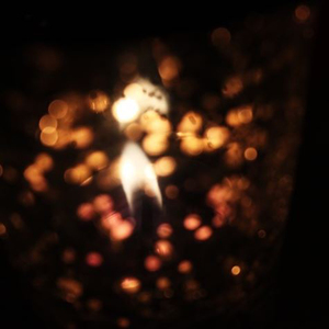 내 마음의 정원