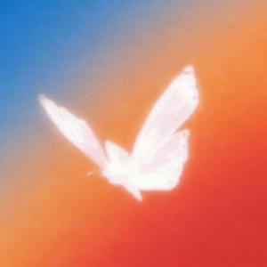 新鸳鸯蝴蝶梦（R&B）