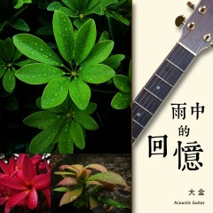 雨中的回忆